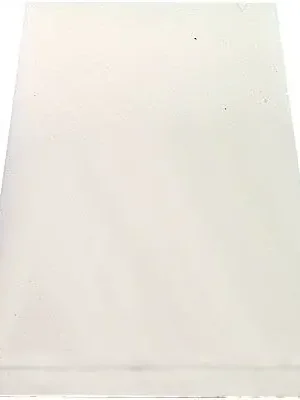 Top Prodej Molitan náhradní 250 x 130 x 20 mm