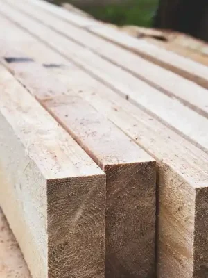 Fošna 50x160x5000mm smrk Nízká Cena