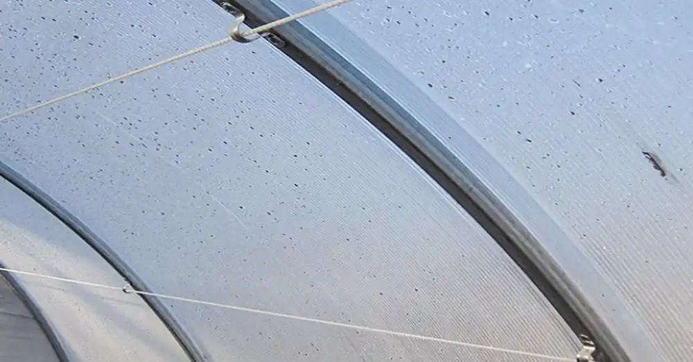 Vedení rostlin Scobax 4,0 m Horká Nabídka