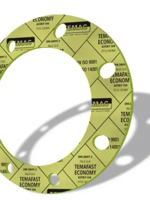 Značkový Těsnění přírubové PN 16-40 - DN 25 -  25/70x2 Temafast